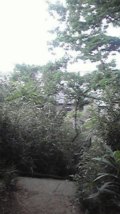P1010004.JPG