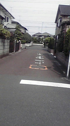 P1010002.JPG