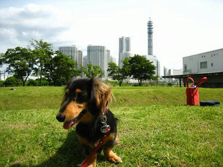 080615-4.jpg