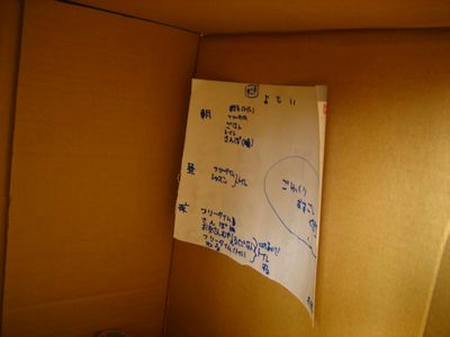 080823-1.jpg