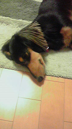 2008100121340000.jpg