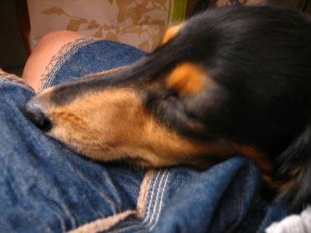 081012-7.jpg