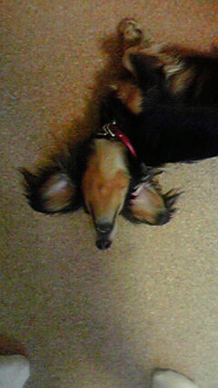 2009043017330000.jpg