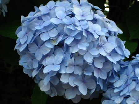 090613-1.jpg