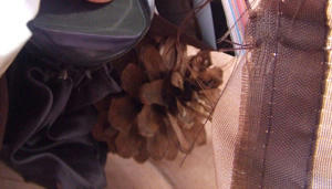 DSCF3631.JPG