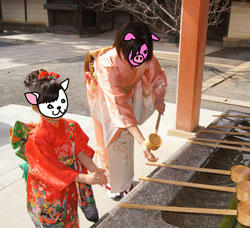 buta.jpg