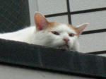 110.JPG
