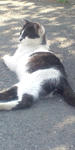 d7e014b1.JPG