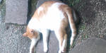 021.JPG