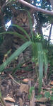 7f002e84.JPG