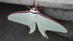 DSCF0036.JPG