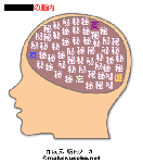 e52d441d.gif