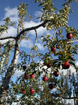 DSCN4006s.jpg