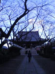 dce5a814jpeg