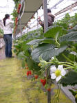 DSCN4259s.jpg