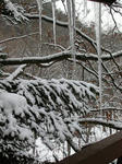 DSCN4284s.jpg