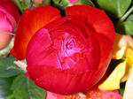 DSCN4718s.jpg