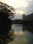 SN3E0019.JPG