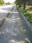 SN3E0021.JPG