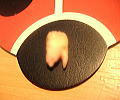 090908a.jpg