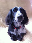 20100131.JPG