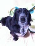 20110227-1.JPG