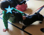20110401-3.JPG