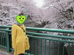 20110409-3.JPG