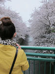 20110409-4.JPG