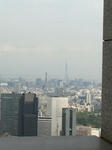 20110421-1.jpg
