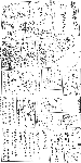 35a522d6.gif