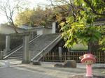 121f1e16.jpg