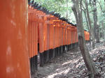 choppainfushimiinari2.jpg