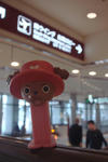 choppairport.jpg