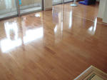 floor.jpg