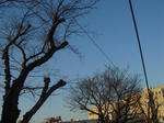 f379d5b2.jpg