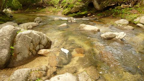 2011.8.28魅惑の里　バーベキュー 