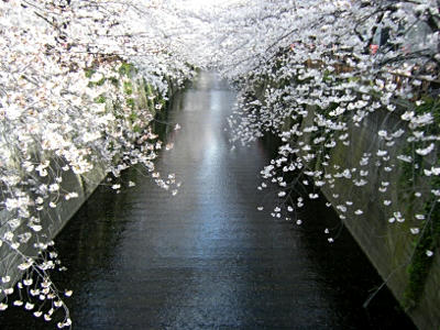 090404.JPG