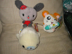 バースデー戦利品