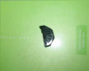 真っ二つの風水ストラップ