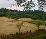 motegijyo05.jpg