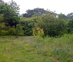 motegijyo09.jpg