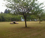 motegijyo07.jpg