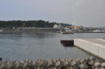 tagonoura.jpg