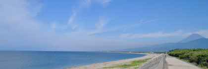 fbcc6f43.jpg