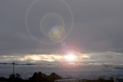 65-LSD1.jpg