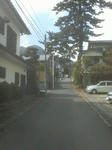 051010.jpg