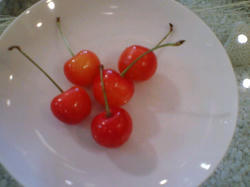 cherry.jpg