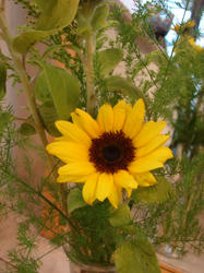 DSC03974.JPG