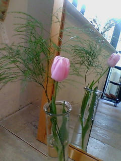 tulip.jpg